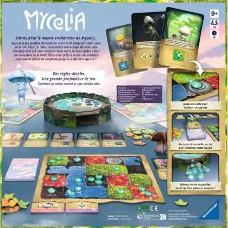 Mycelia photo 3