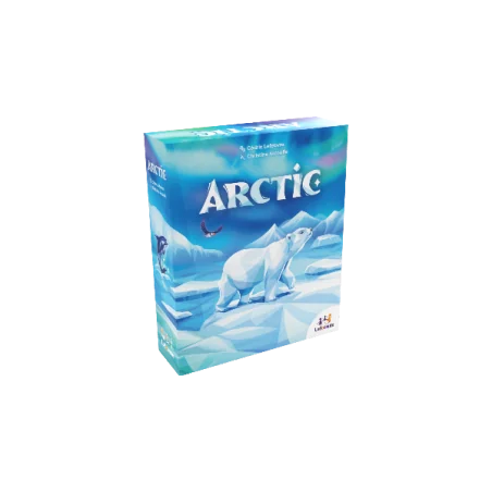 Arctic photo couverture de jeu